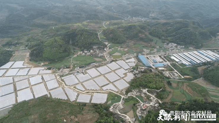 开阳龙岗镇最新规划图,开阳龙岗镇最新规划图，描绘未来繁荣蓝图