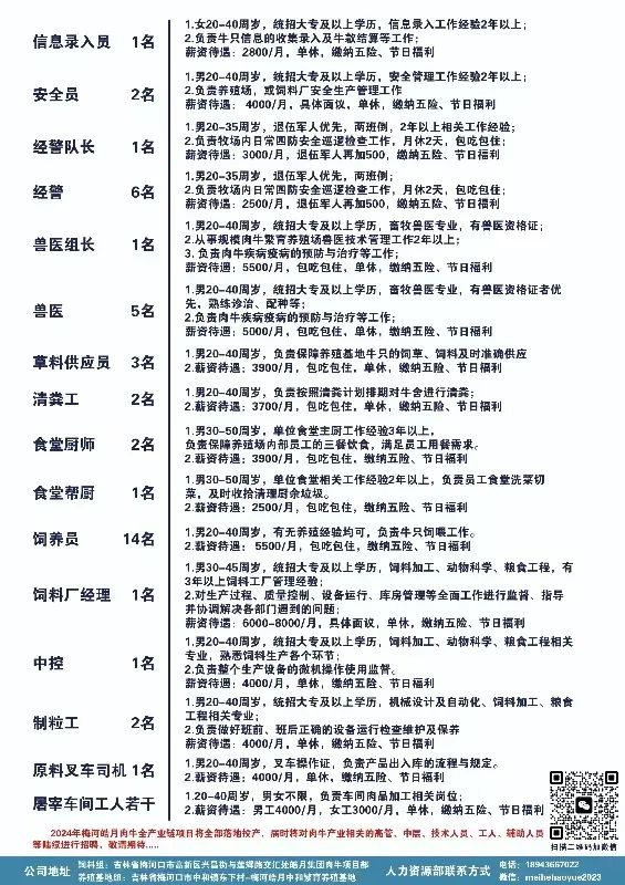 海林招聘网最新招聘,海林招聘网最新招聘动态深度解析