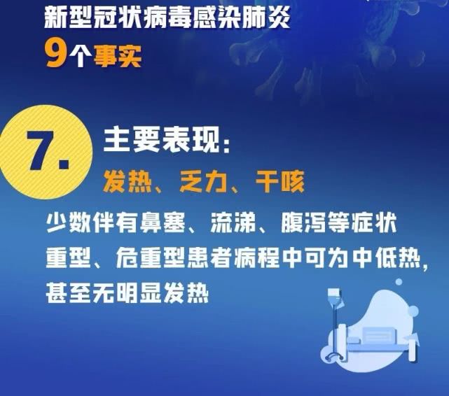 新澳正版资料免费大全,新澳正版资料免费大全，探索真实与免费的资料宝库