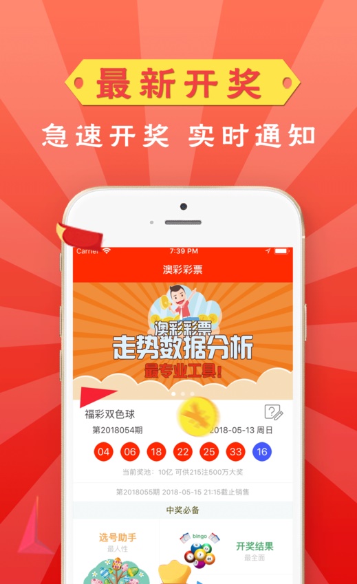 王中王100%免费资料大全,王中王100%免费资料大全，探索与启示