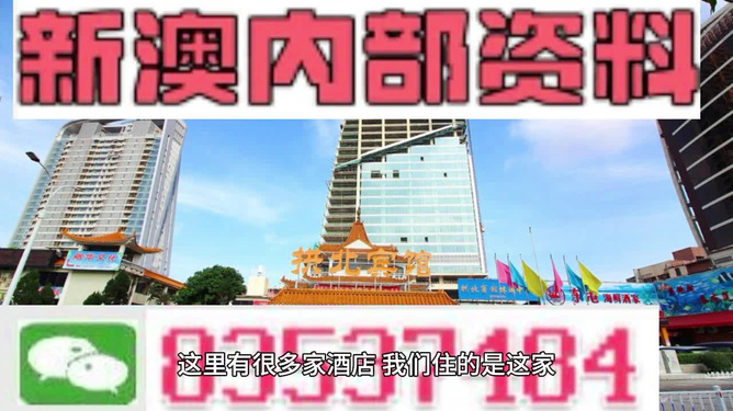 2024新澳最精准资料222期,揭秘2024新澳最精准资料第222期，深度分析与预测