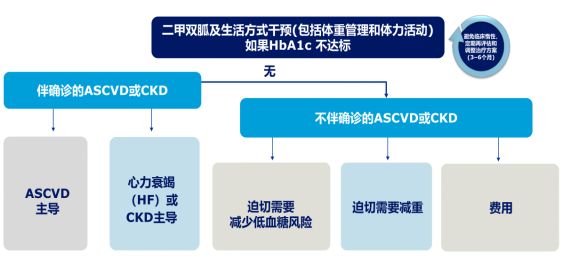 2025年新澳精准资料免费提供网站,探索未来，2025年新澳精准资料免费提供的网站