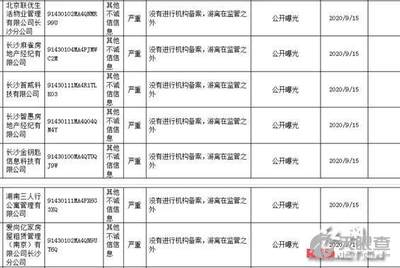 最准一肖100%最准的资料,揭秘生肖预测真相，最准一肖的深度解析与资料探寻