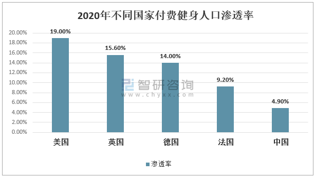 2025年香港资料免费大全,2025年香港资料免费大全概览