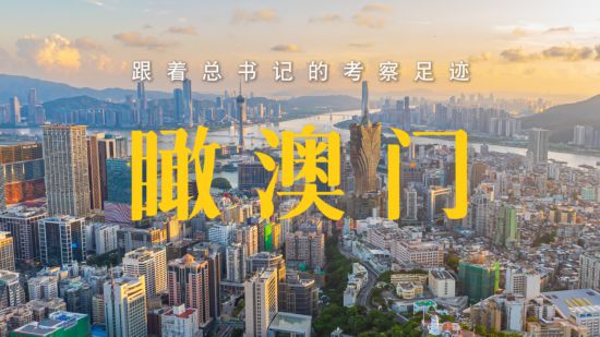 2025年澳门的资料,澳门未来展望，2025年的面貌与变迁