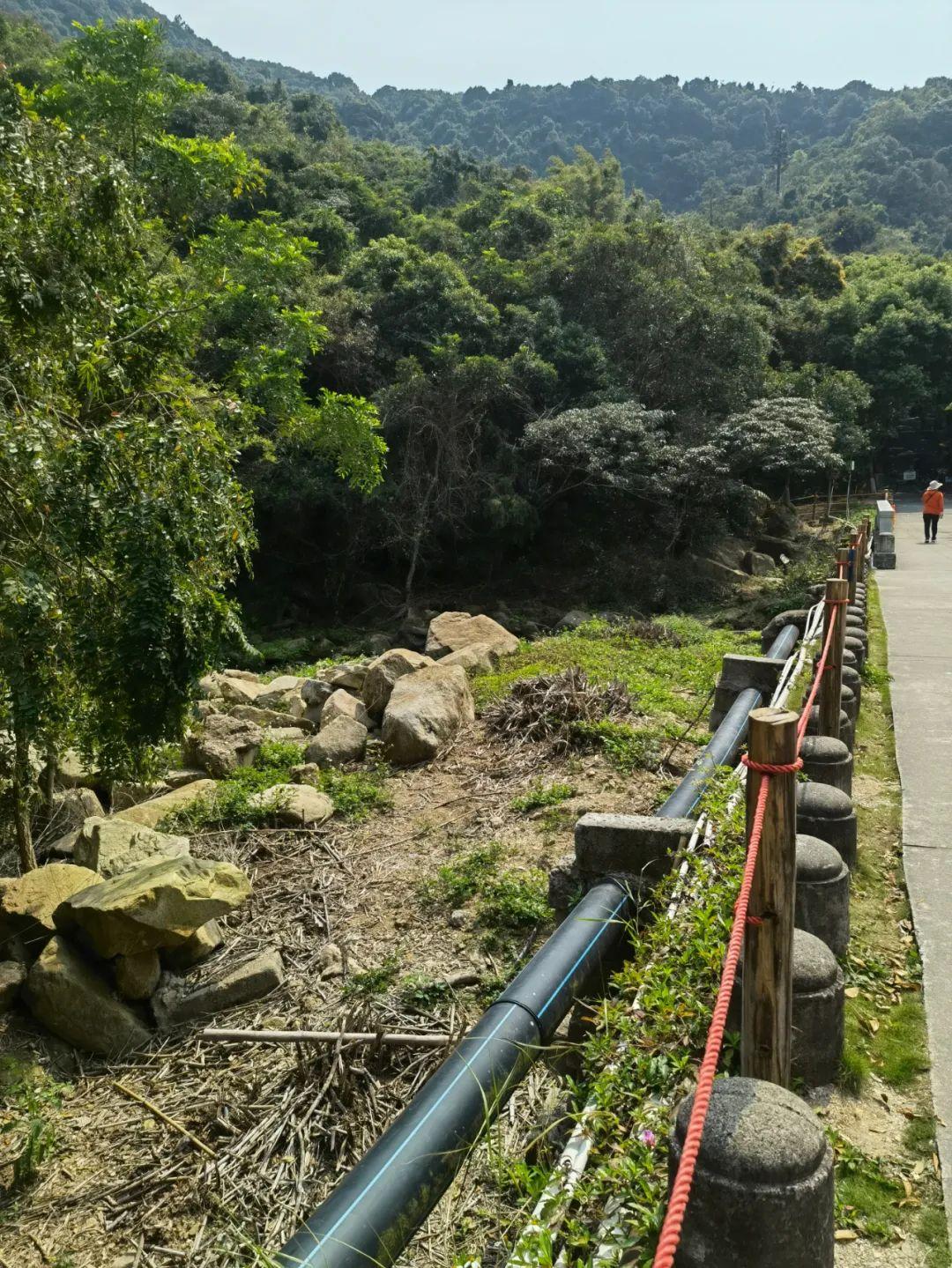 澳门雷锋心水论坛013期 02-03-05-08-09-39P：06,澳门雷锋心水论坛第013期，探索心水奥秘，传递雷锋精神