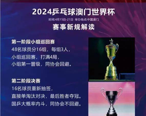 2025年澳门今晚开什么码005期 03-11-14-15-28-44G：46,探索澳门彩票，以数字解读未来之码